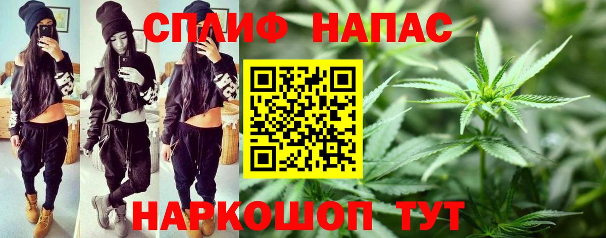 Конопля семена  Вход с VPN  Тавда  Марихуана семена  Шишки марихуана SATIVA & INDICA 
